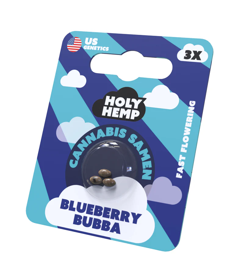 Holy Hemp SEEDS Blueberry Bubba 3x
